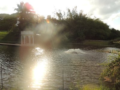 DSCN0631.JPG
