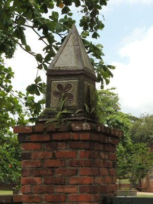 DSCN0505.JPG