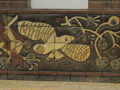 DSCN0520.JPG