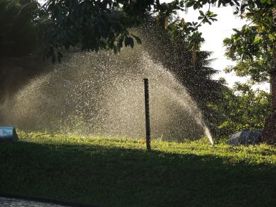 DSCN0745.JPG