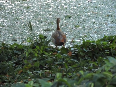 DSCN0748.JPG