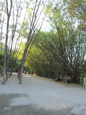 DSCN0749.JPG