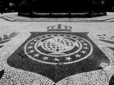 DSCN9545.JPG