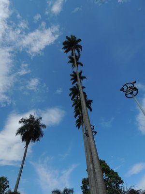 DSCN9600.JPG