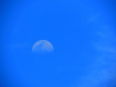 DSCN9608.JPG