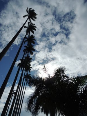 DSCN9613.JPG