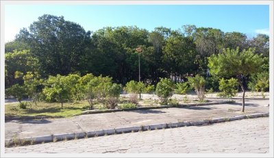 Universidade Federal do Esprito Santo - UFES