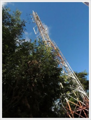 DSCN1022.JPG