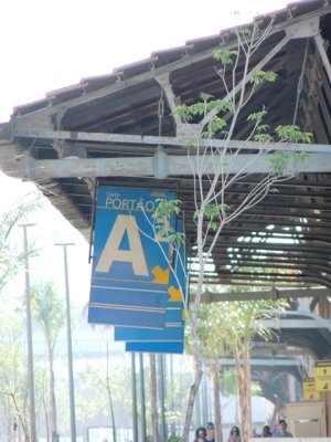 DSCN9242.JPG
