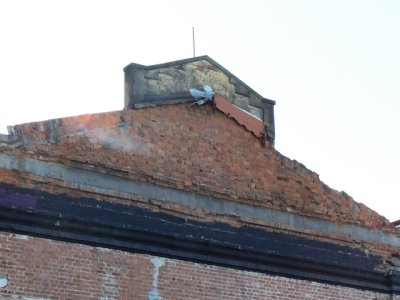 DSCN9284.JPG