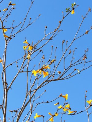 DSCN9319.JPG