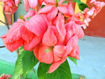 DSCN9332.JPG