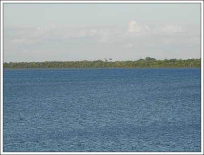 DSCN0661.JPG