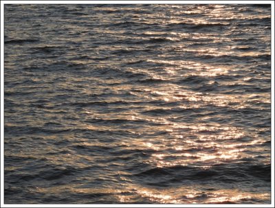 DSCN0717.JPG