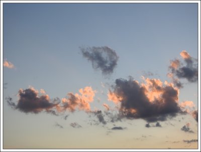 DSCN0740.JPG