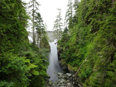 View from Loss Creek Bridge (fog over the water)