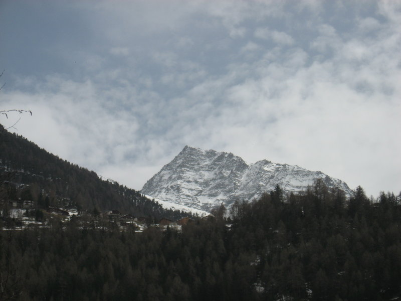 IMG_3220.JPG