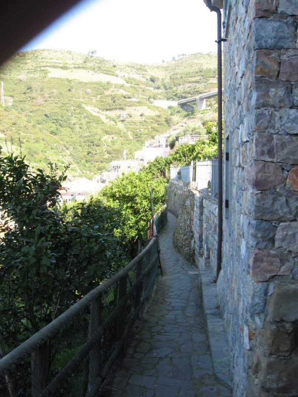 IMG_3288.JPG
