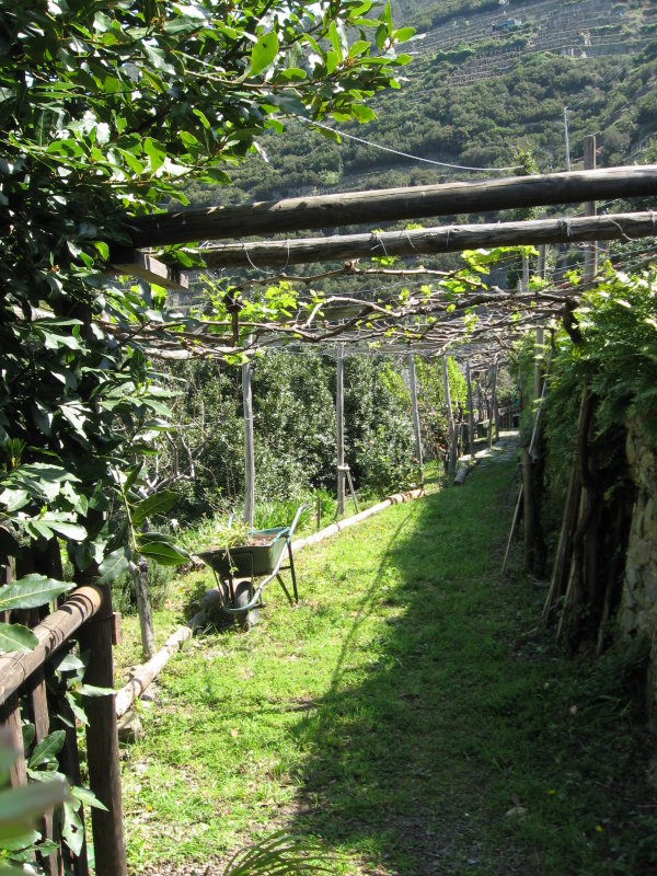 IMG_3314.JPG