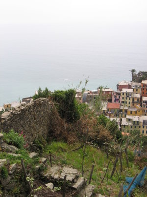IMG_3253.JPG