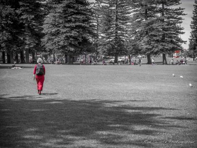 _A070057.jpg