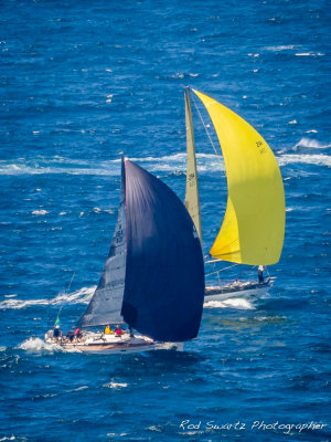 Sydney to Hobart Yacht Race 2016