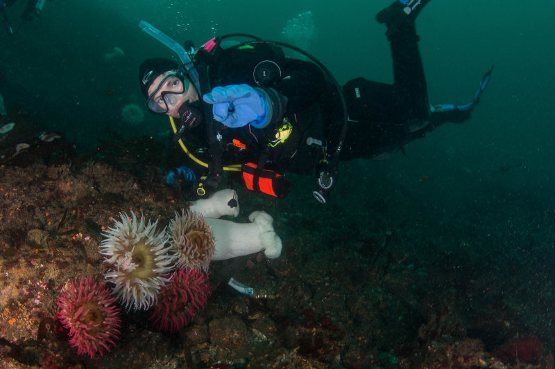 Erin (My dive buddys daughter)