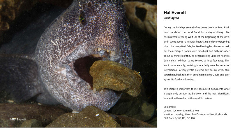 Article in 3/2015 Issue of Pacific Northwest Diver