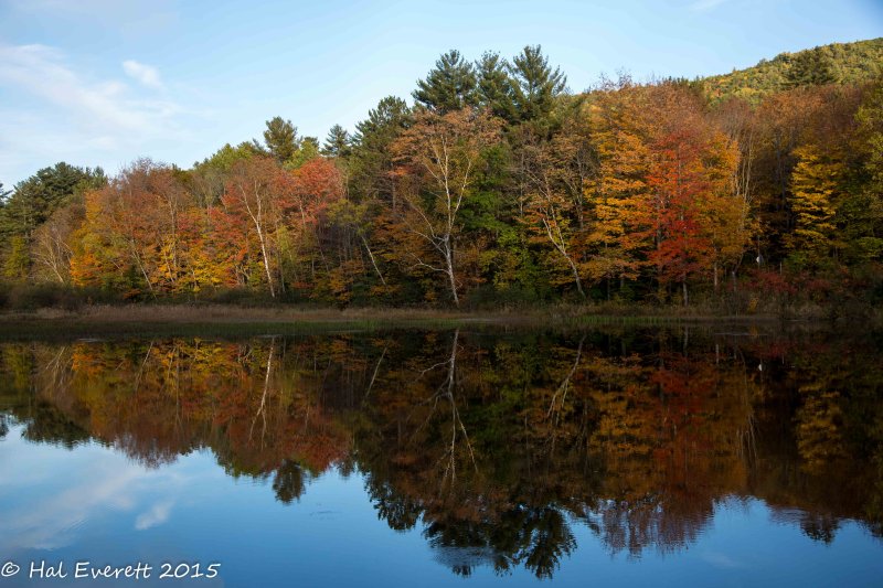 Campton Pond 