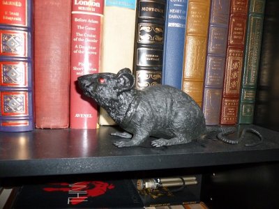 Rickey rat in library pic 2.JPG