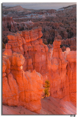 Bryce Morning Glow 10-26-13