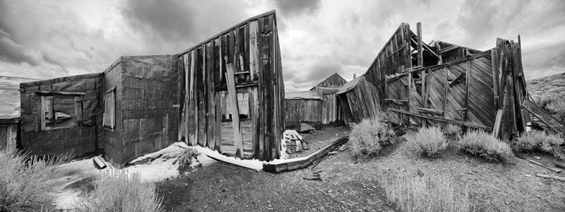 dsc_0446_bw.jpg