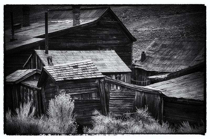DSC_3408_NOIR.jpg