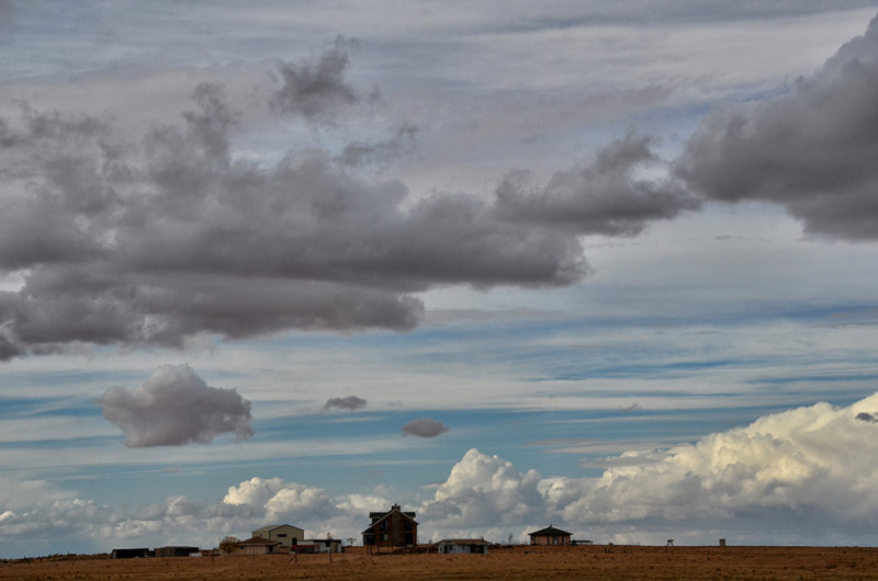DSC_5196.jpg