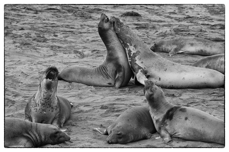 DSC_6534.jpg