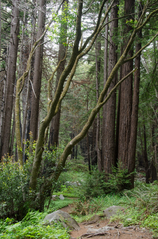 DSC_6704.jpg