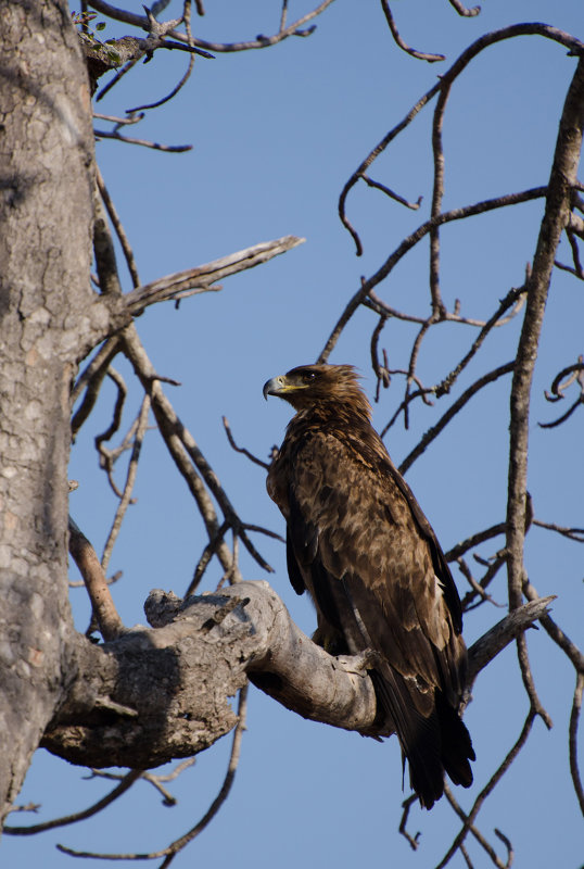 DSC_8374.jpg