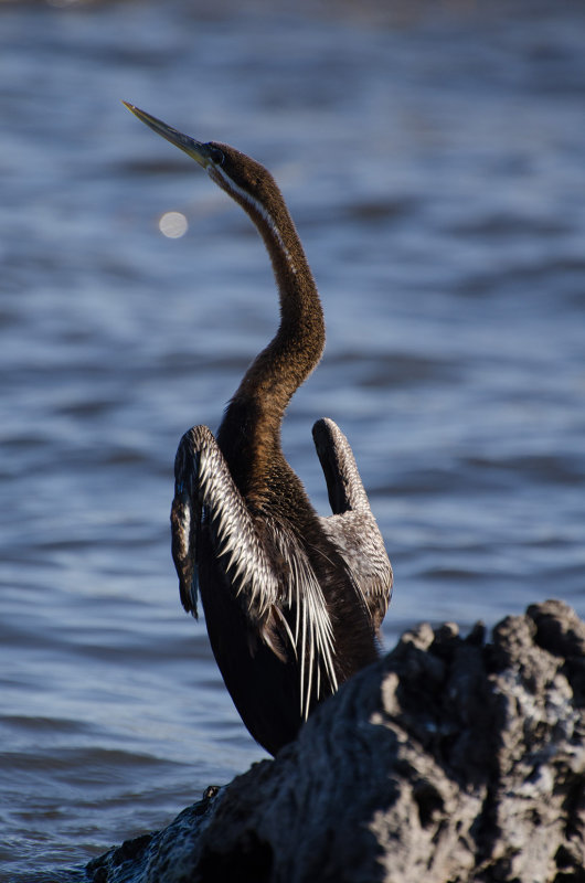 DSC_1655.jpg