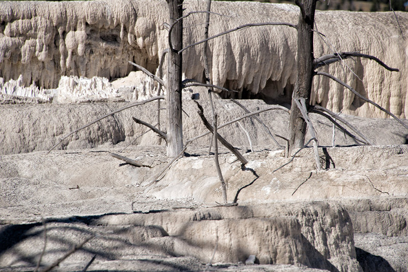 DSC_2014.jpg