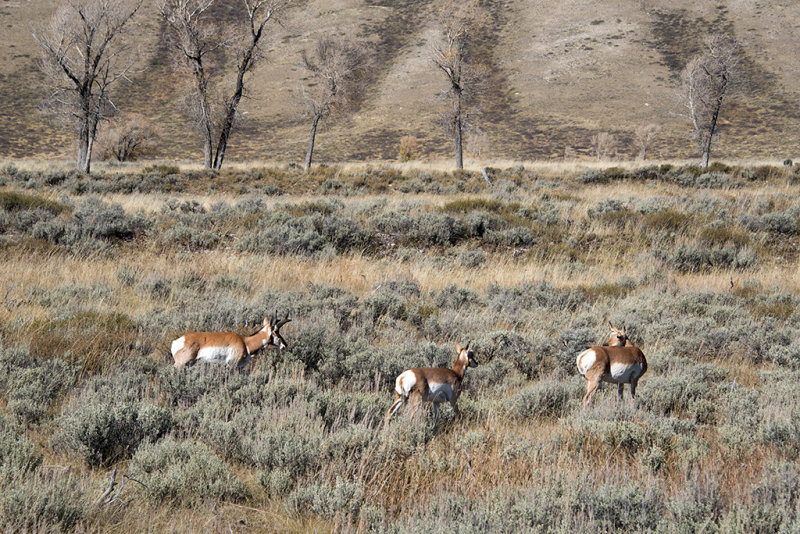 DSC_2286.jpg