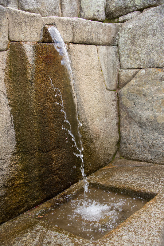 DSC_5056.jpg