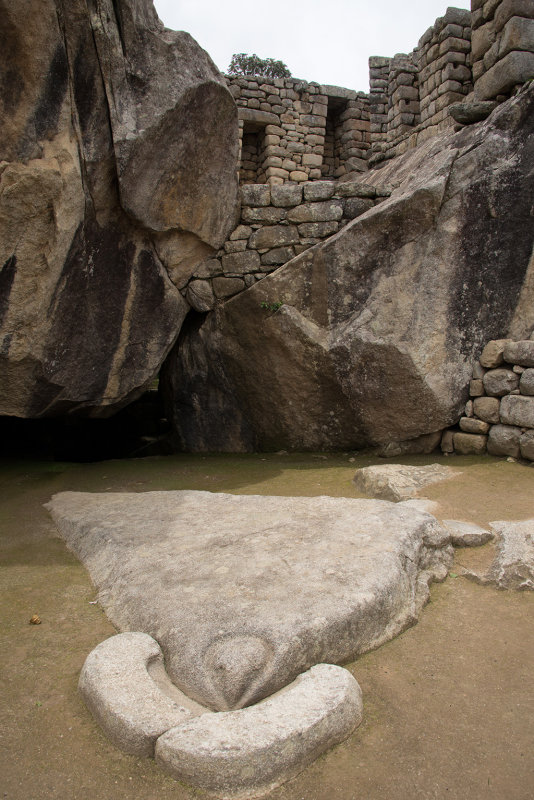 DSC_5465.jpg