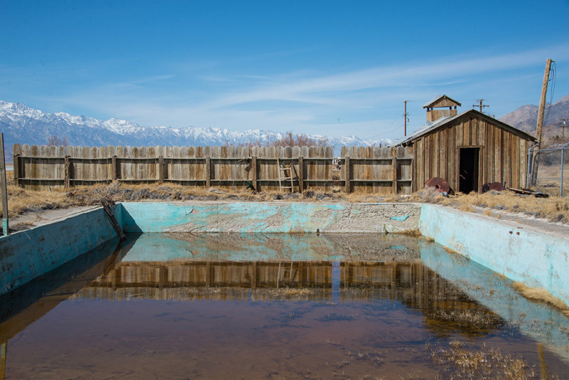 DSC_1196.jpg
