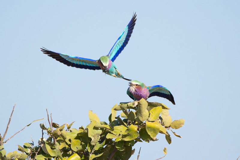 DSC_1989.jpg