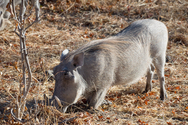 DSC_4049.jpg