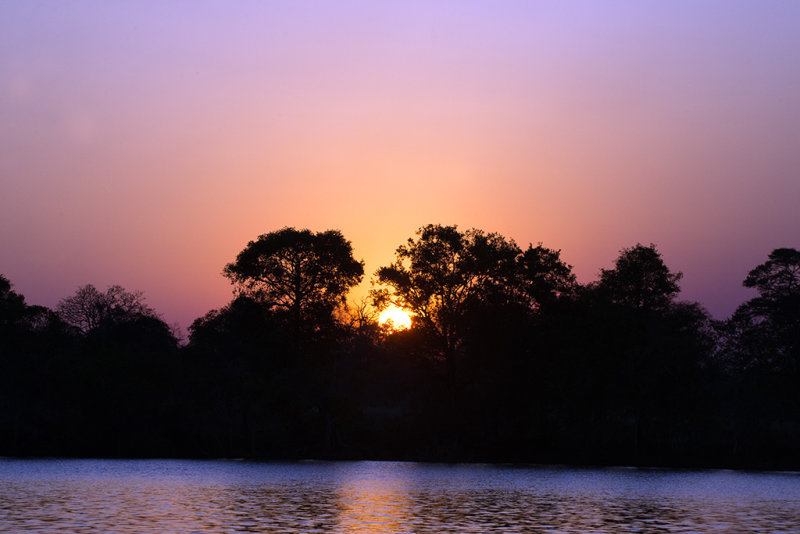 DSC_3985.jpg