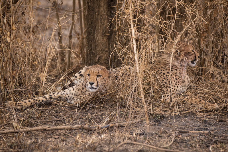 DSC_1856_2.jpg
