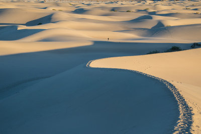 Mesquite Dunes