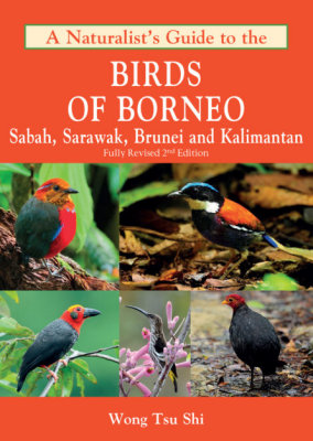 2nd Edition Bords of Borneo Cover