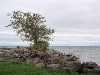 g9/77/588477/3/150130269.8UXJY7Fq.jpg